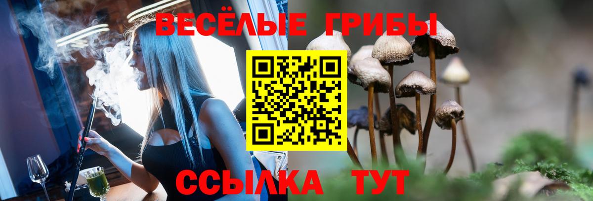 Псилоцибиновые грибы GOLDEN TEACHER  Вход с VPN  Аксай 