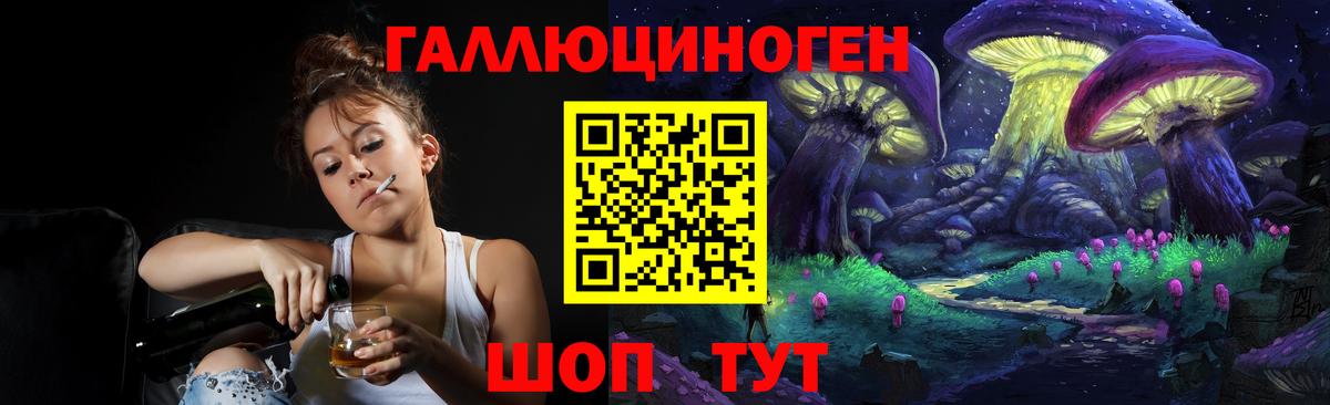 Псилоцибиновые грибы Psilocybe Аксай